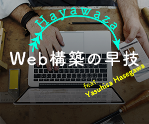 webdesign-hayawaza-TLL300